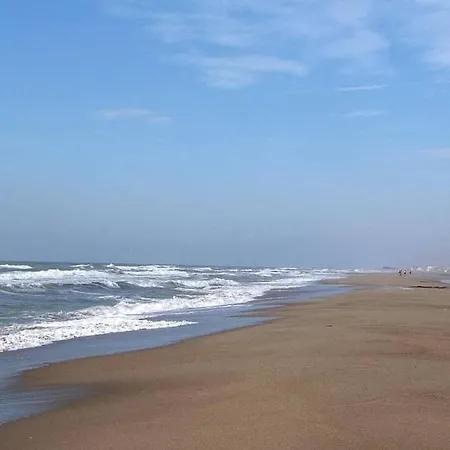 Saint Pierre La Proche Narbonne פלורי