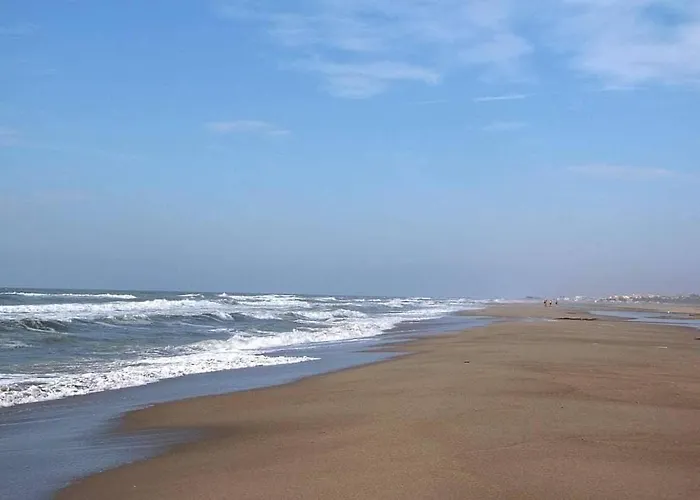 Saint Pierre La Proche Narbonne פלורי